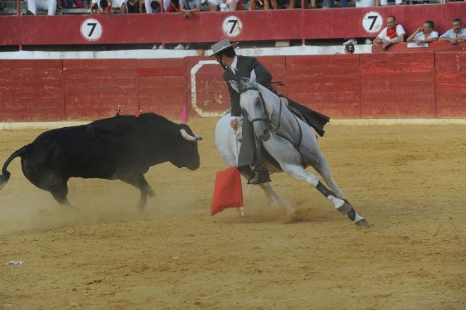 Fiestas de Calahorra 2011-14